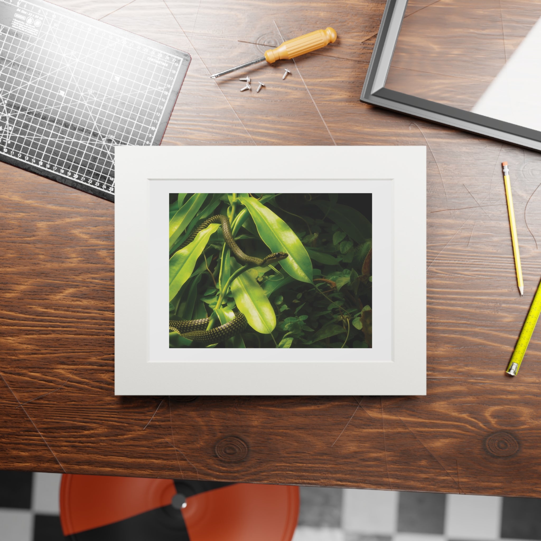 Green snake photography print, framed wall art