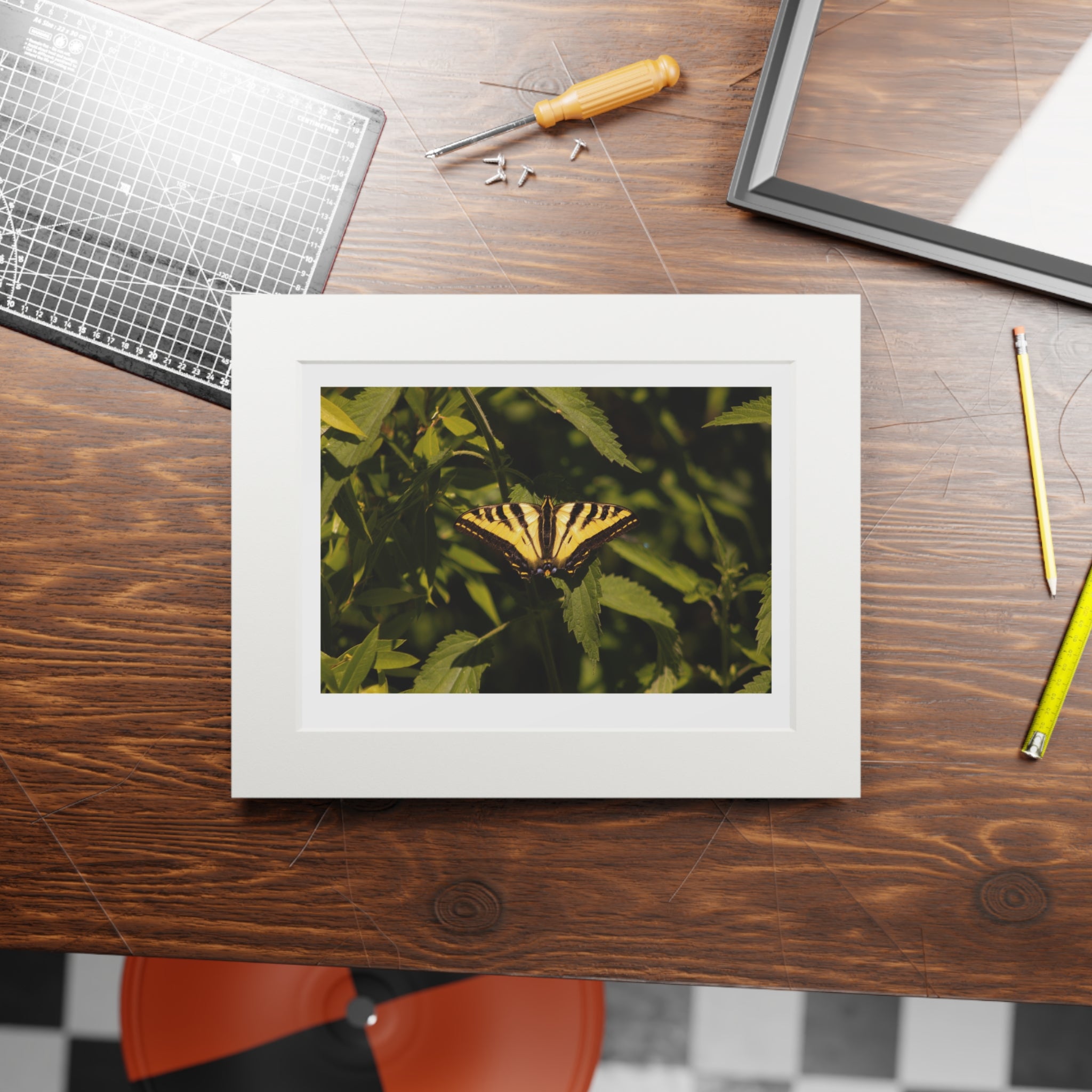 Fine Art Prints, Butterfly Photo Wall Decor,